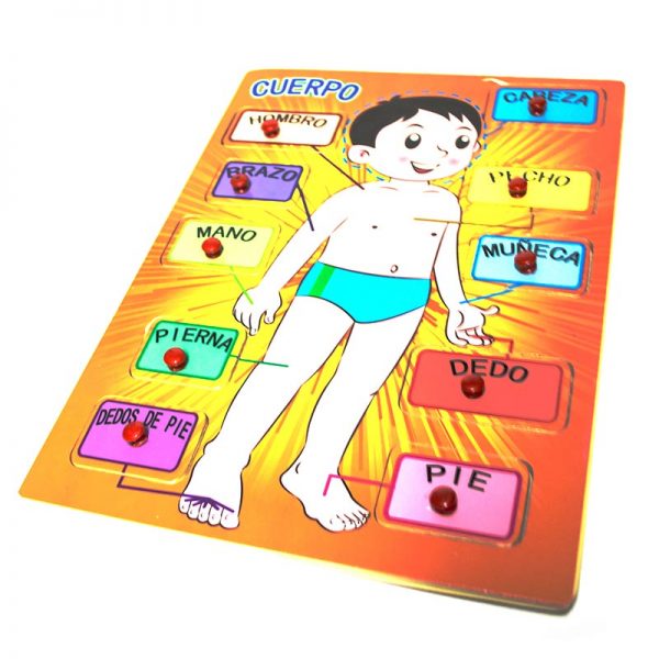 Rompecabezas cuerpo humano